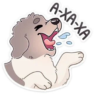 🐶