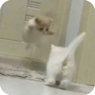 🫥