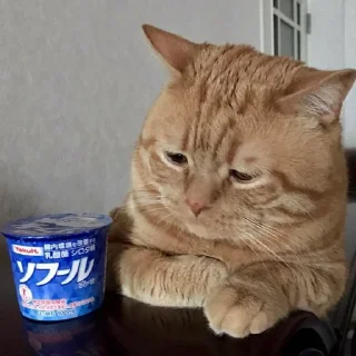 😞