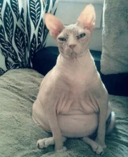 🤨