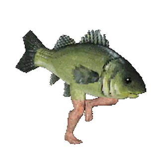 🐟