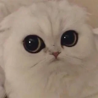 😑