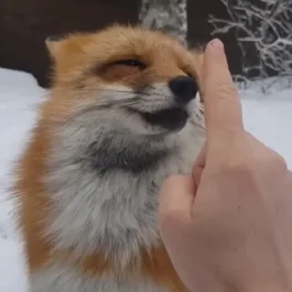 😄