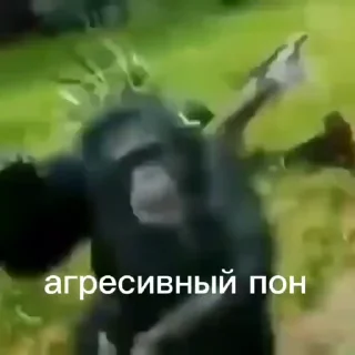 💫