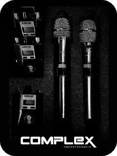 🎤