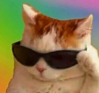 😎