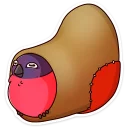 👢