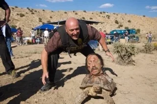 🐢