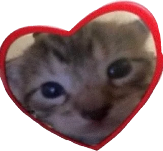 ❤️