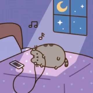 🛌