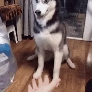 🫲