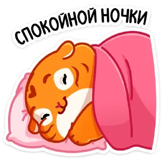 😴