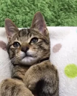😍