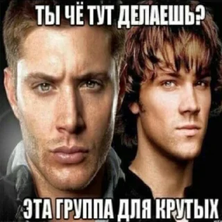 😎
