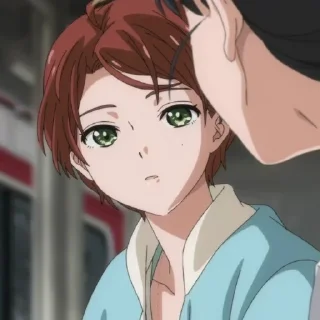 🎋