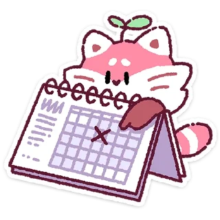 🌟