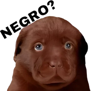 💩