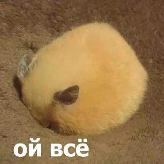 😒