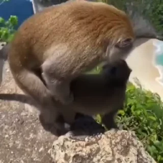 😳