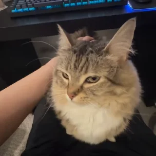 🤨