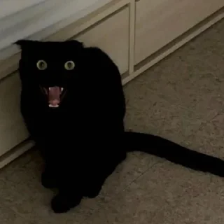 🤯