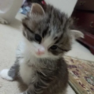 🤍