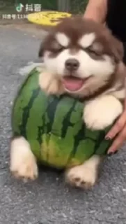 🙂