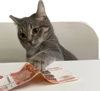 💰