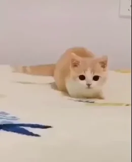 😃