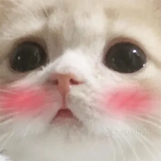 ☺️