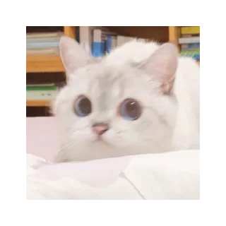😐