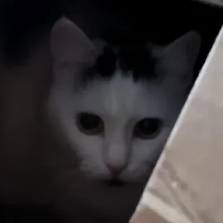 💀