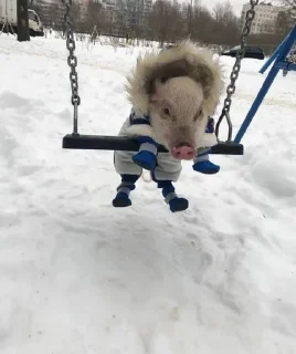 😄