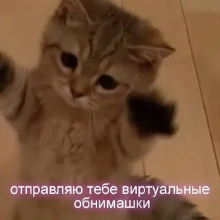 🤗