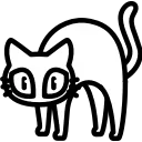 🐈‍⬛