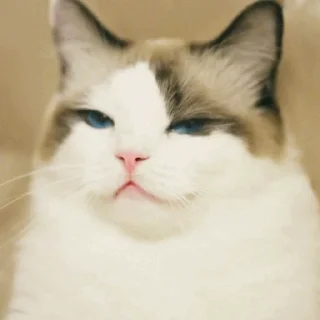 😑