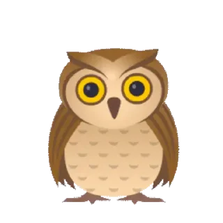 🦉