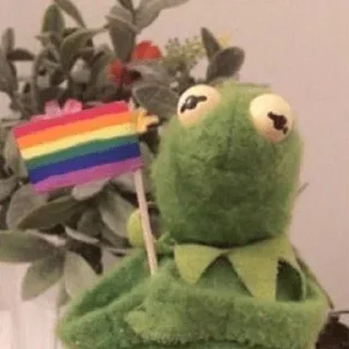 🏳‍🌈