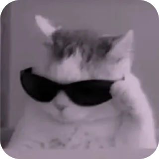 👓