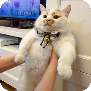 😐
