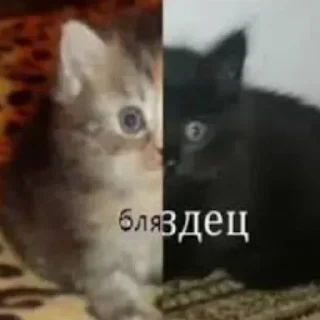 🤯