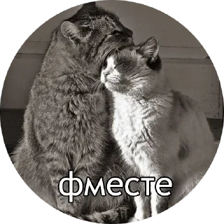 👫