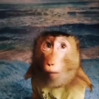 😨