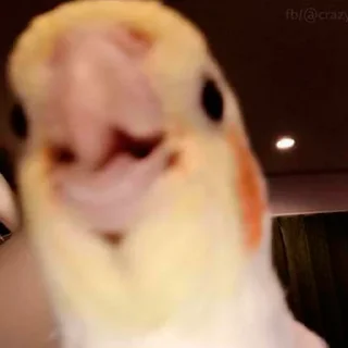 😀