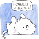 Самоедик Ачи
