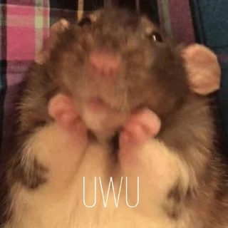 😚
