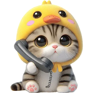 📞