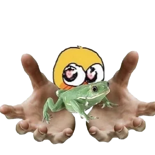 🐸