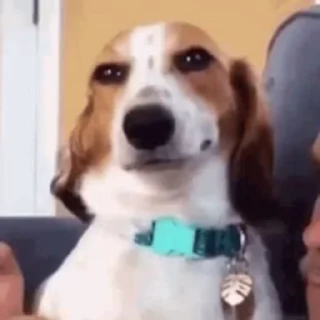 😏