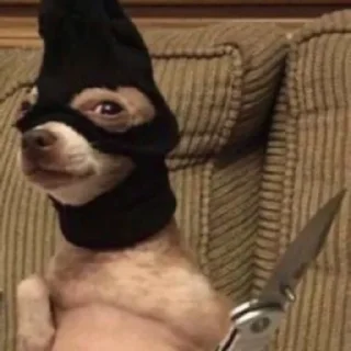 🔪